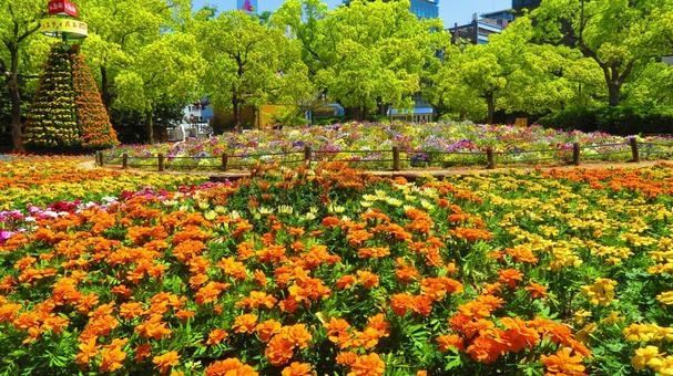 🌳 다카마쓰 시립 중앙공원(다카마쓰 시리쓰 주오 코엔) 이미지 12